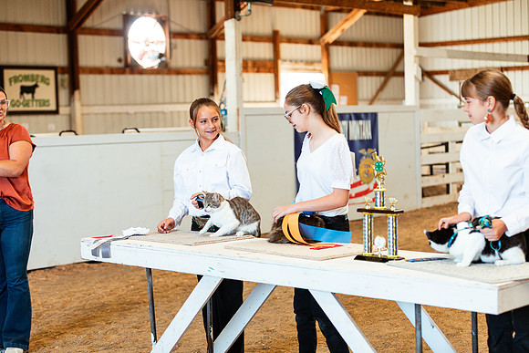 CATSHOW18