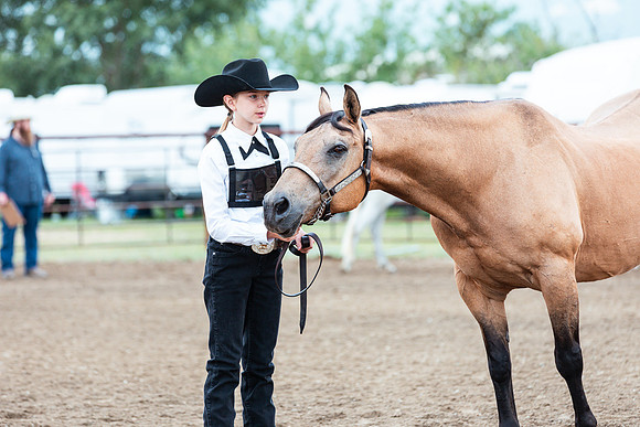 HORSE121