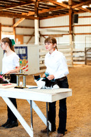 CATSHOW14