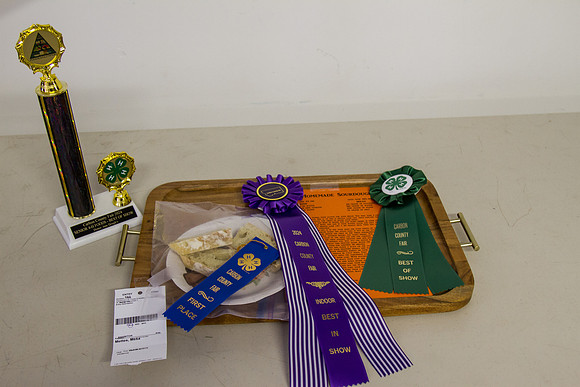 DAY1CCFAIR29