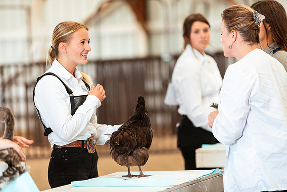 POULTRY16