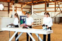 CATSHOW10