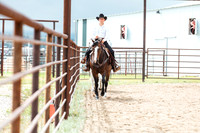 HORSE4