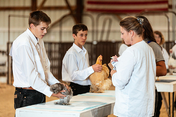 POULTRY38