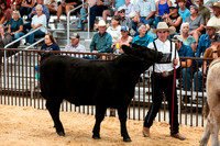BEEF12