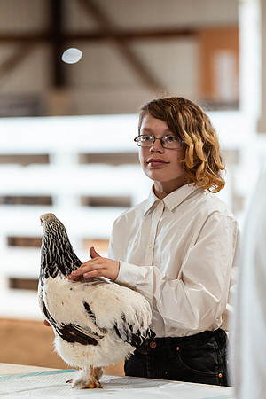 POULTRY47