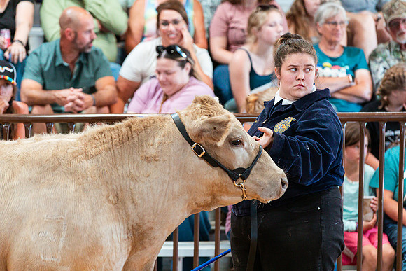 BEEF19