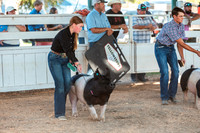 SCCofC8