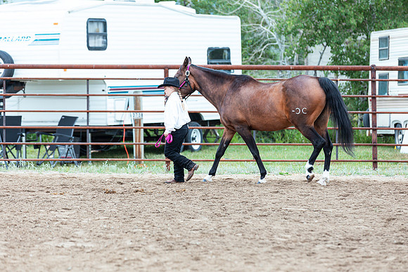 HORSE88