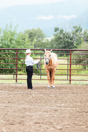 HORSE59