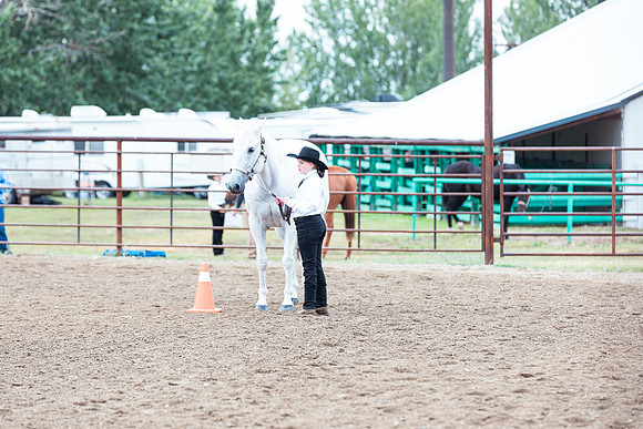 HORSE57