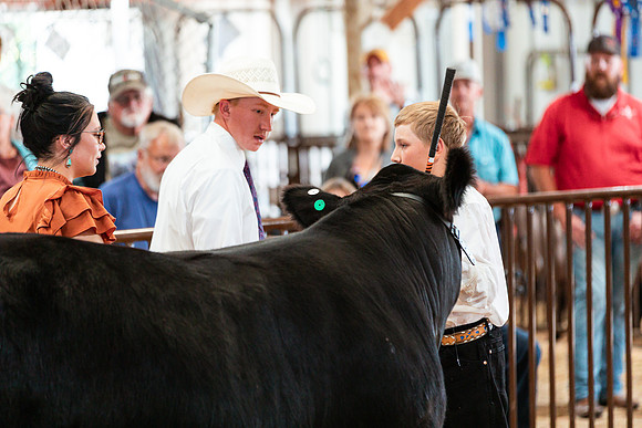 BEEF SHOWMANSHIP40