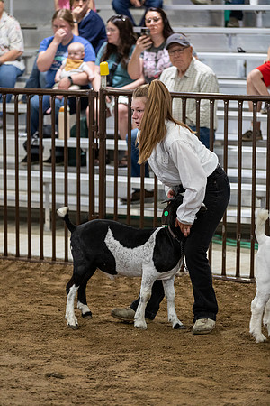 DAY4CCFAIR97