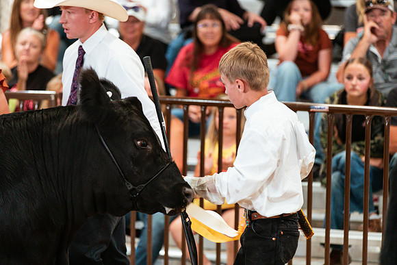 BEEF SHOWMANSHIP42