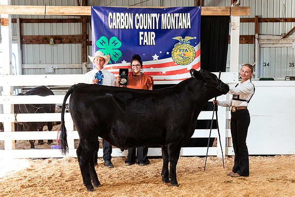 BEEF SHOWMANSHIP100
