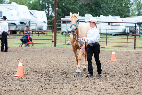 HORSE51
