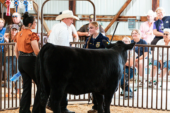 BEEF SHOWMANSHIP95