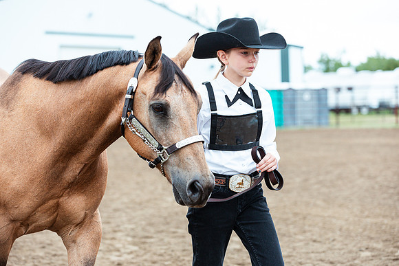 HORSE100