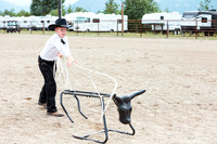 HORSE6