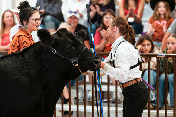 BEEF SHOWMANSHIP16