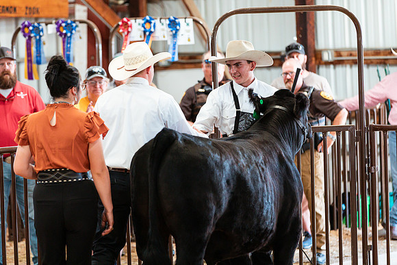 BEEF SHOWMANSHIP43
