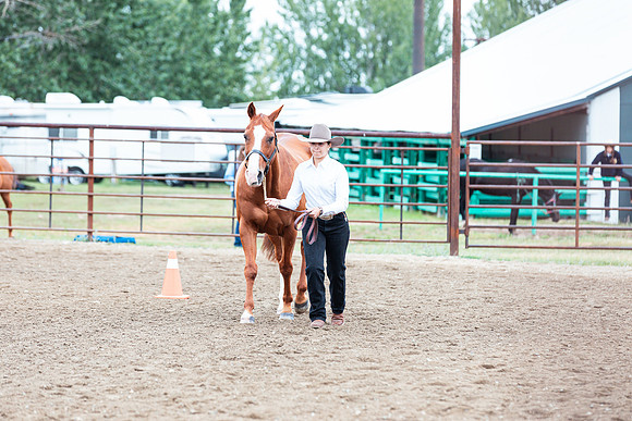 HORSE60