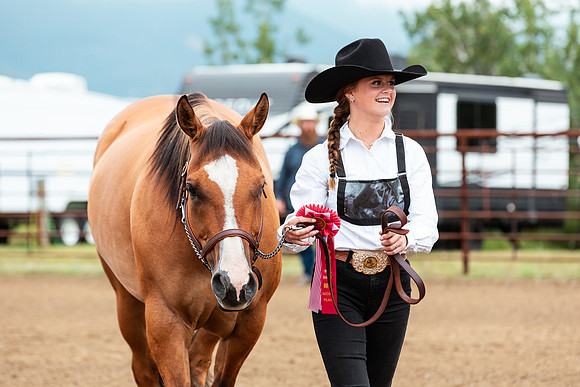 HORSE36