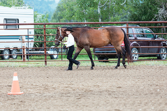 HORSE89