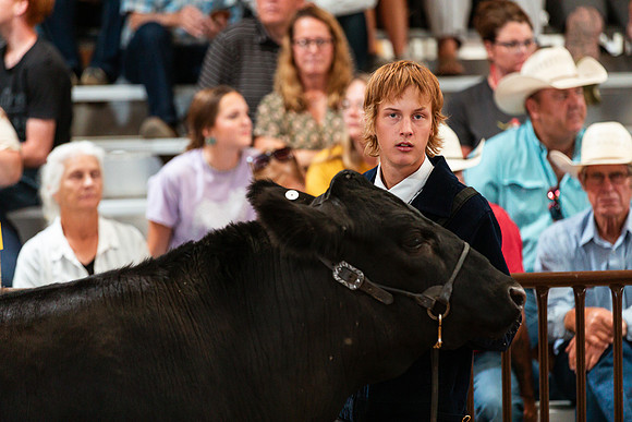 BEEF SHOWMANSHIP79