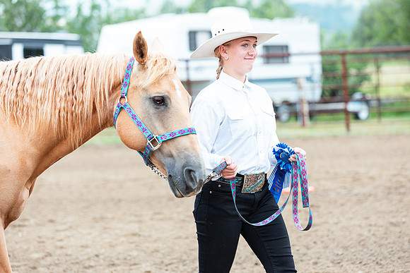 HORSE87