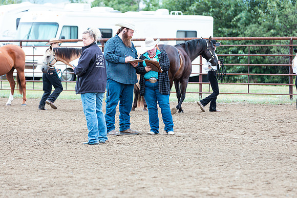 HORSE74