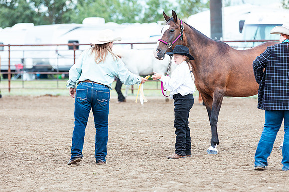 HORSE128