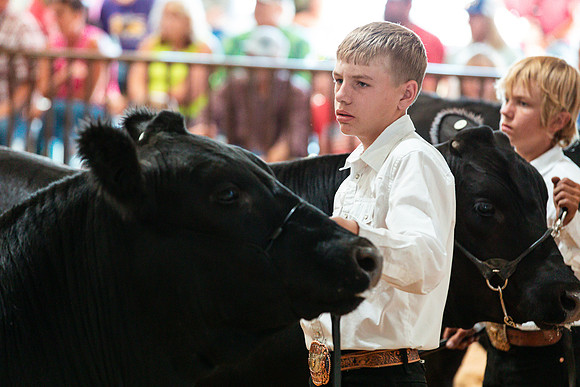 BEEF41