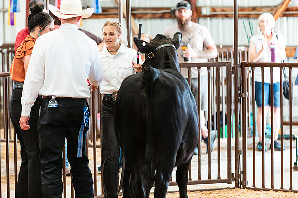 BEEF SHOWMANSHIP18