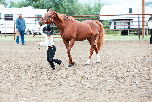HORSE108