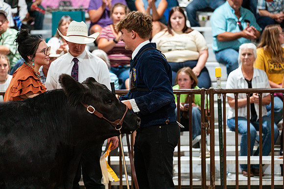 BEEF SHOWMANSHIP88
