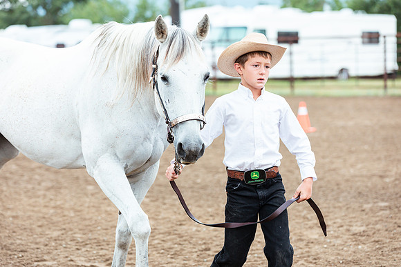 HORSE99