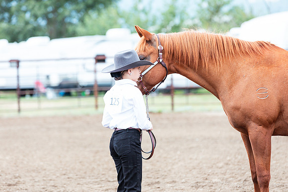HORSE111