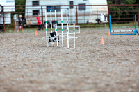 DOG18