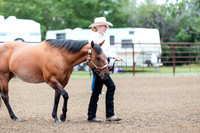 HORSE15