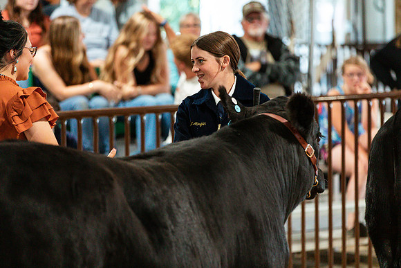 BEEF SHOWMANSHIP85