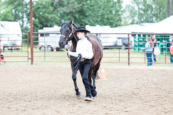 HORSE67