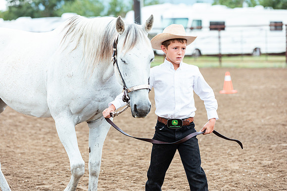 HORSE98