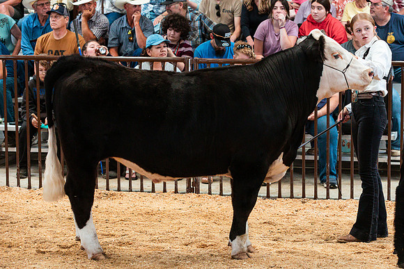 BEEF30