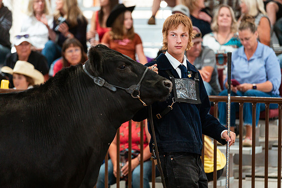 BEEF SHOWMANSHIP73