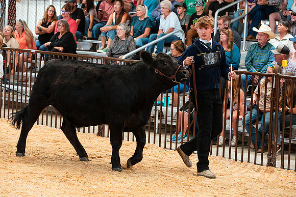 BEEF35
