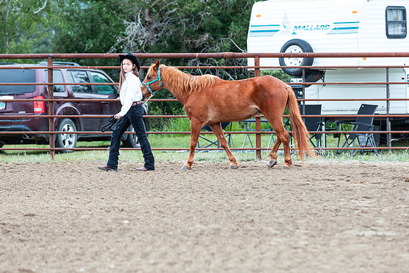 HORSE91