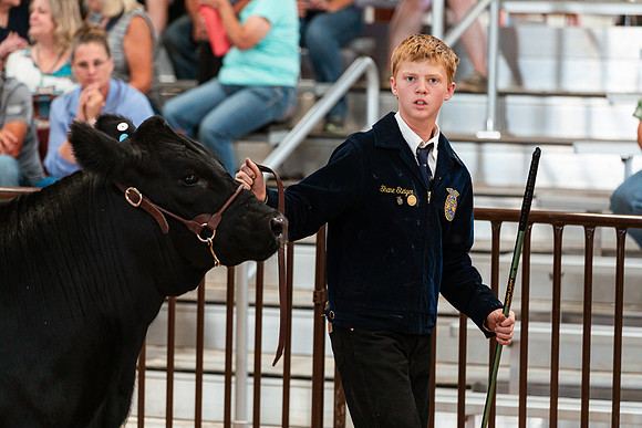 BEEF SHOWMANSHIP71