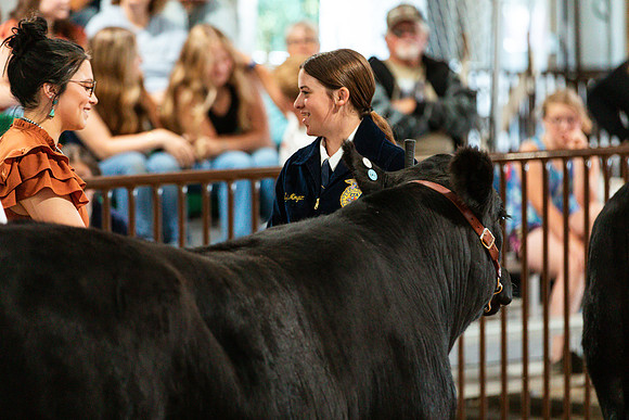 BEEF SHOWMANSHIP86