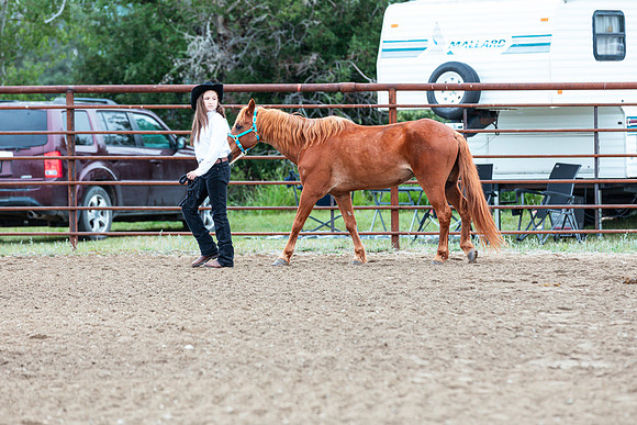 HORSE90